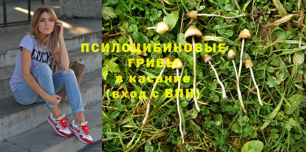 MDMA Premium VHQ Богородицк