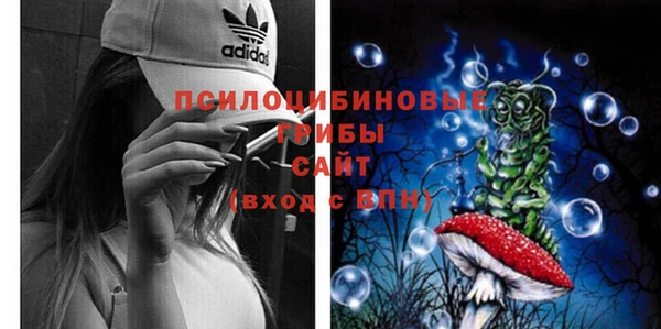 MDMA Premium VHQ Богородицк
